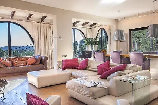 Palmera